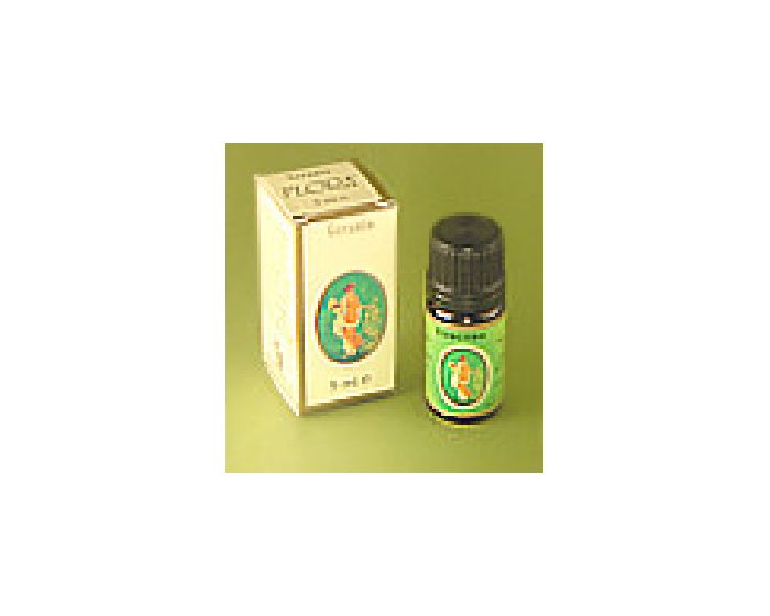 OMNIA BOTANICA Olio essenziale di tea tree, 10 ml Acquisti online