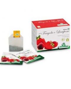 Infuso Fragola/lampone 20filt