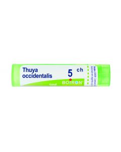 Boiron Thuya Occidentalis Granuli 05Ch Tubo 4g