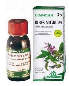 Specchiasol Gemmosol 36 Ribes Nero 100ml