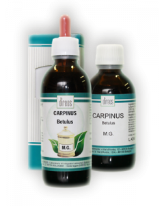 Carpinus Betulus Mg 50ml