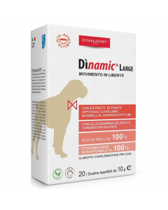 Dinamic Large 20bust 10g