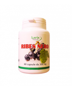 Ribes Nero 60cps