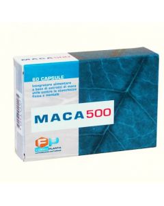 Maca 500 60 Capsule