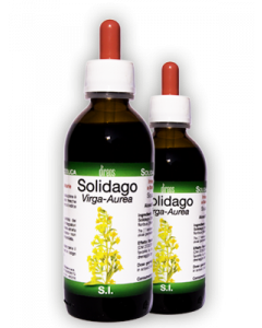 Solidago Virga Au Sol Ial150ml