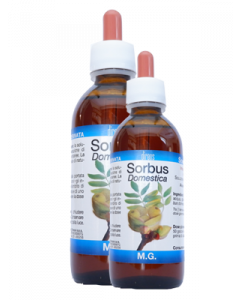 Sorbus Domestica 150ml Mg